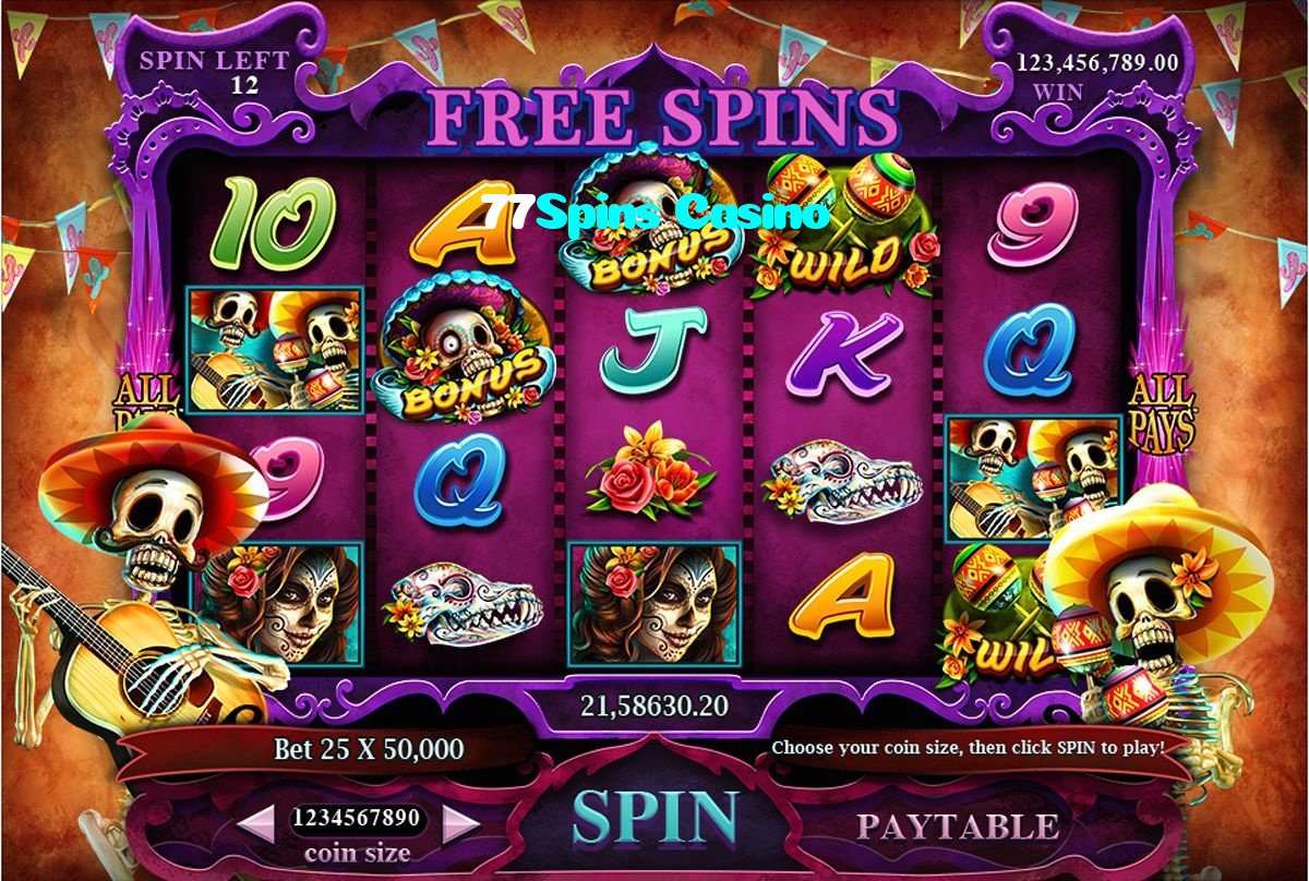 available types of 77Spins Casino bet including pre-match live express and system bets